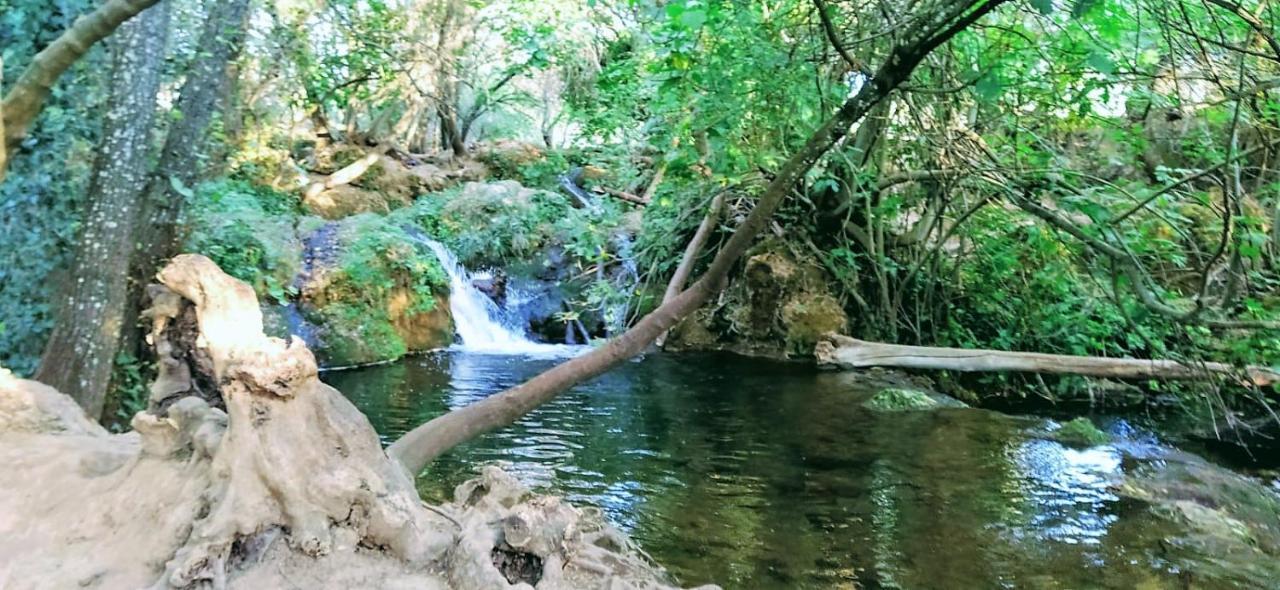 Lavanda Con Piscina San Nicolás del Puerto